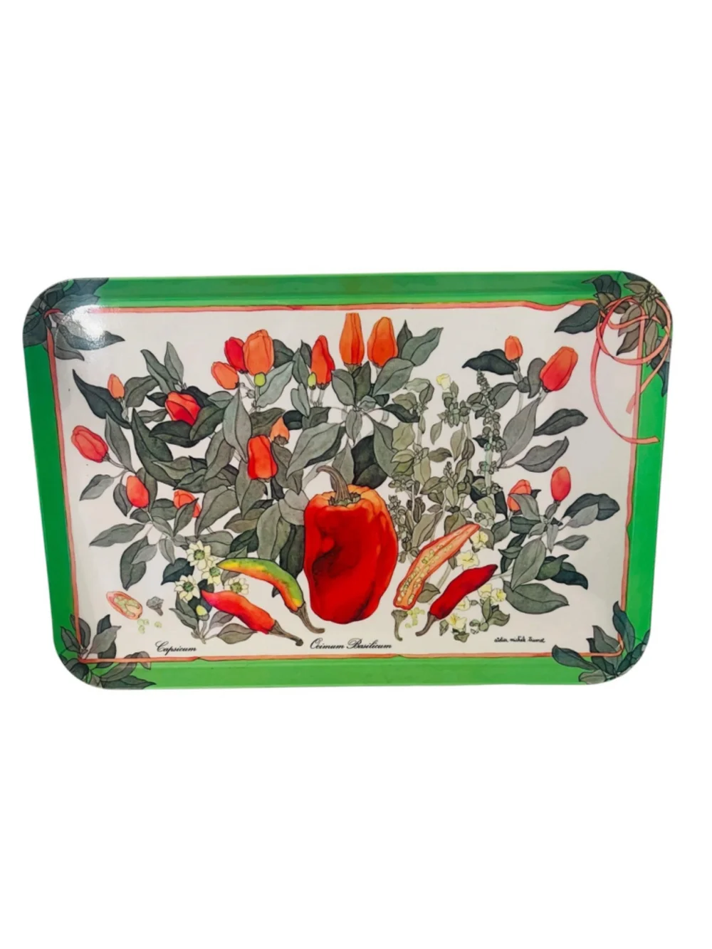 Vintage Italy Botanical Melamine Tray 17” Atelier Michele Trumel Peppers Basil
